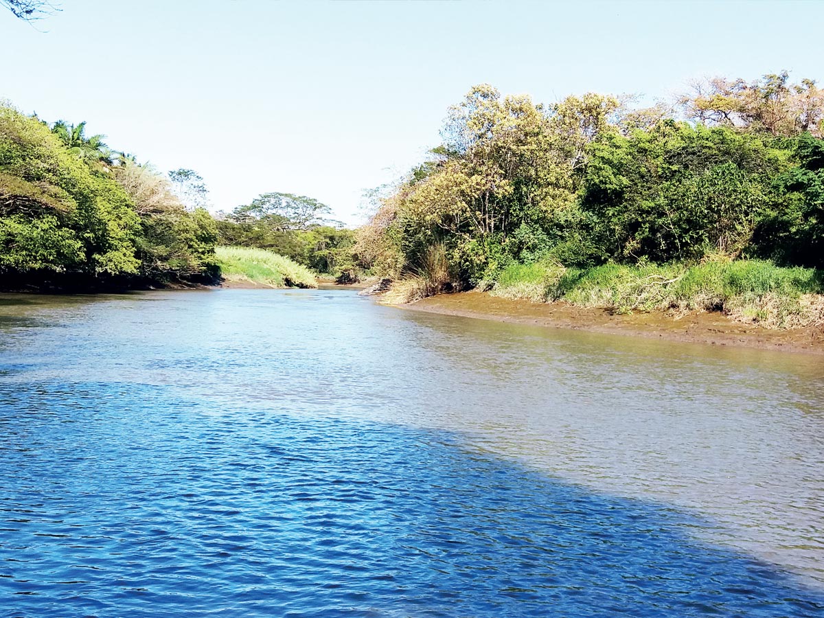 Río Tempisque una de las riquezas naturales de Nicoya y Guanacaste