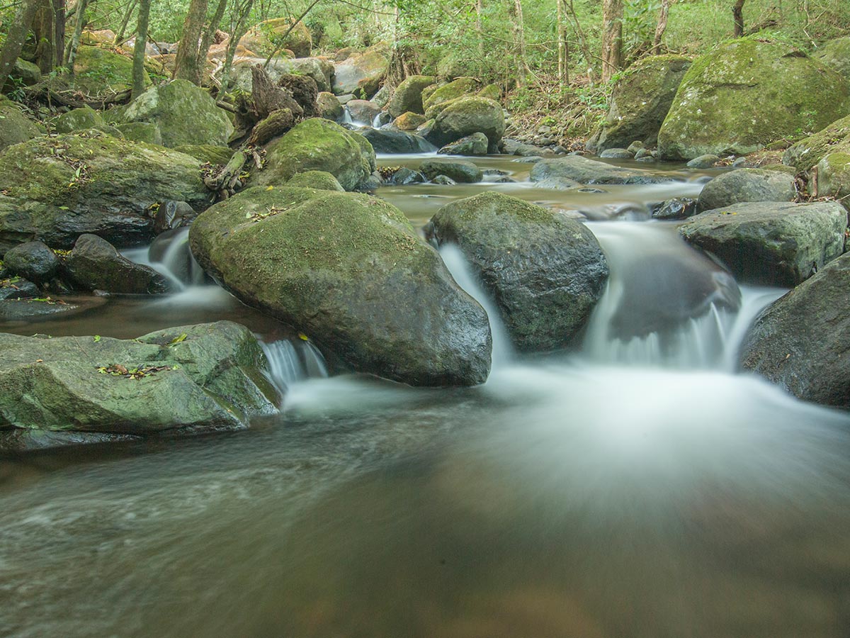 Parque Nacional Rincon de la Vieja, de paseo, Periodico Mensaje