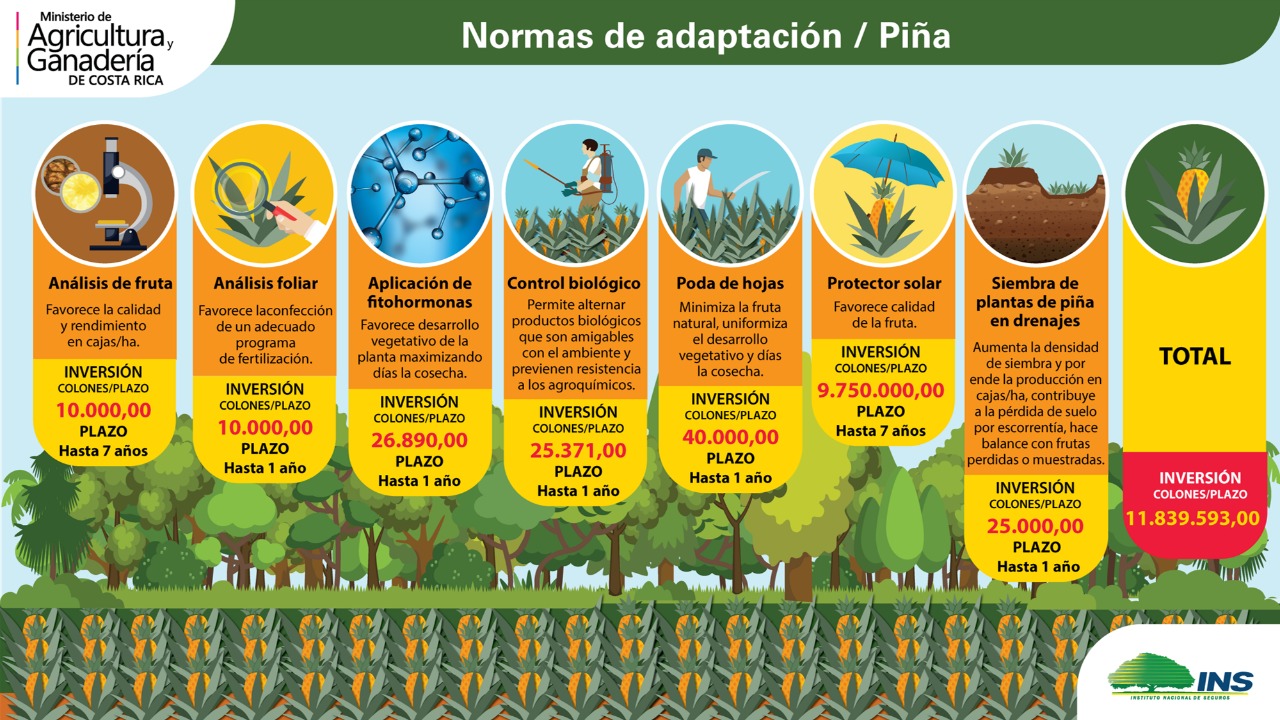 Programa adaptacion MAG Cambio climatico