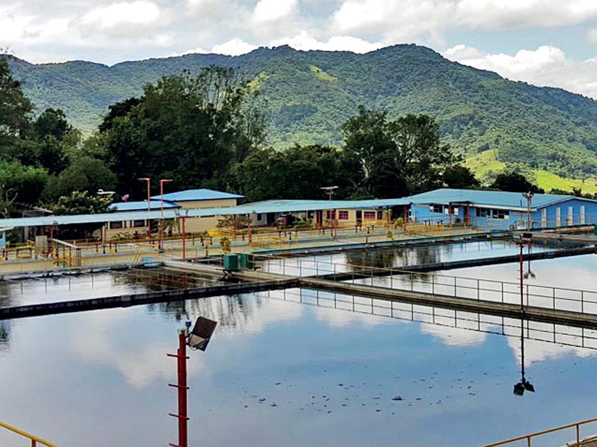 El Informe también arrojó una brecha en el acceso a agua potable entre el área urbana y rural, pues la cobertura es de 96,4% y 84,4% respectivamente.