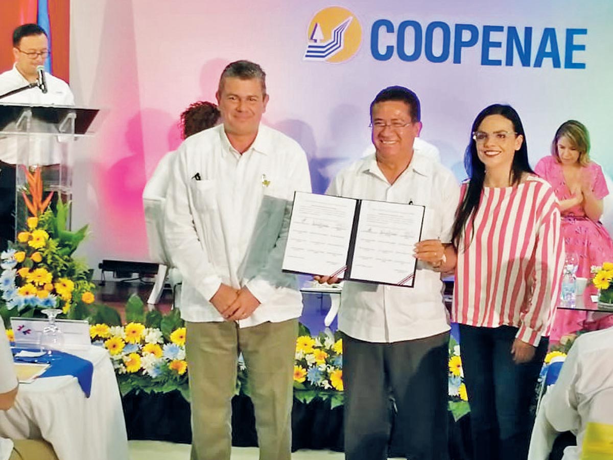 La CNE busca implementar este programa de forma permanente en las municipalidades.