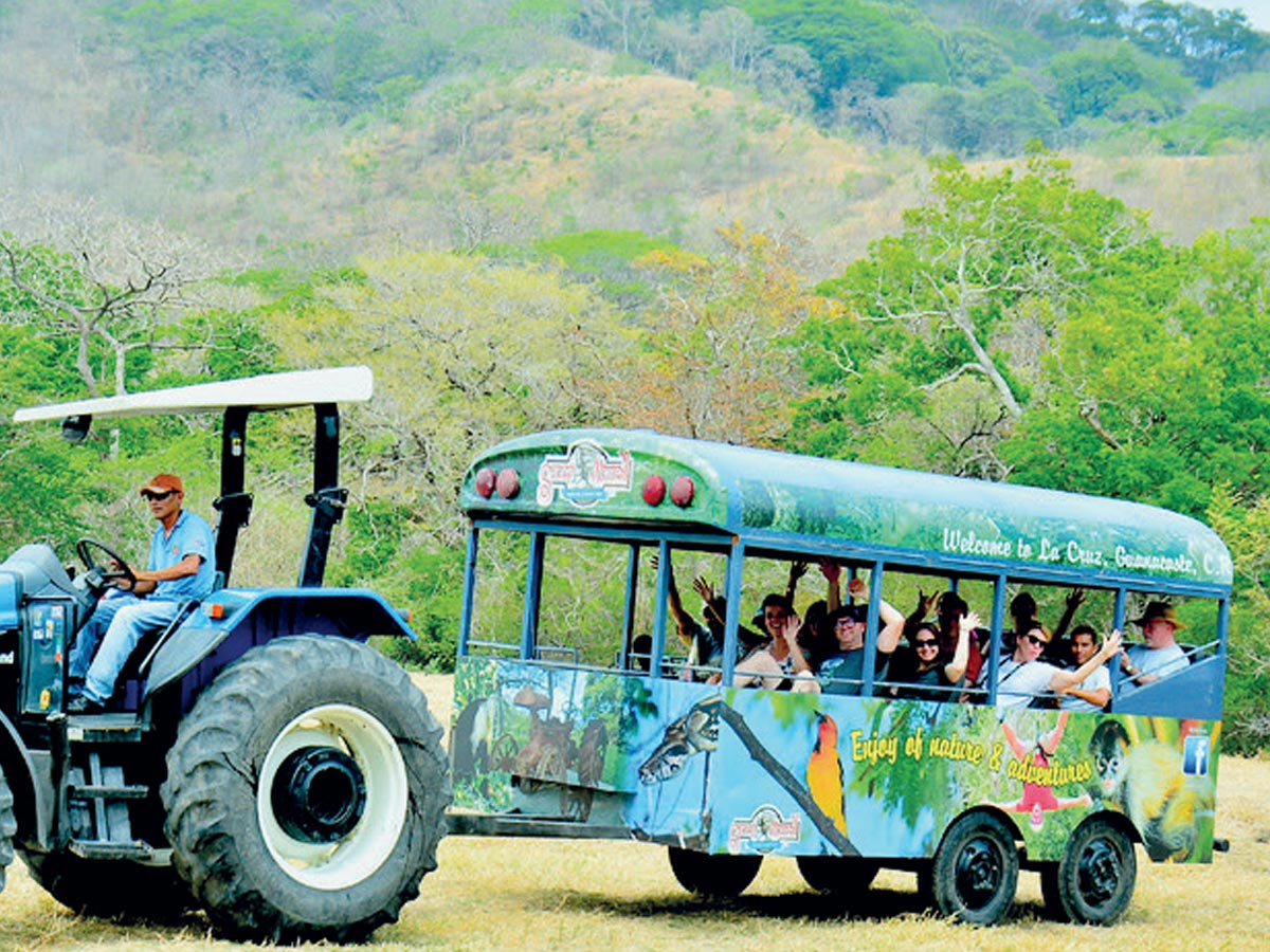 Parte de los atractivo de la empresa Spider Monkey Canopy Tour.