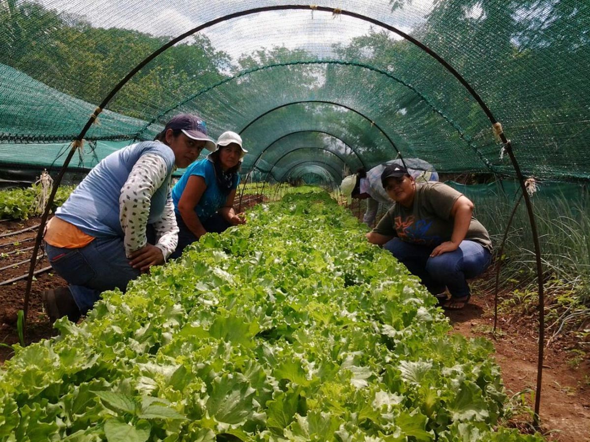 Concurso Crecimiento Verde