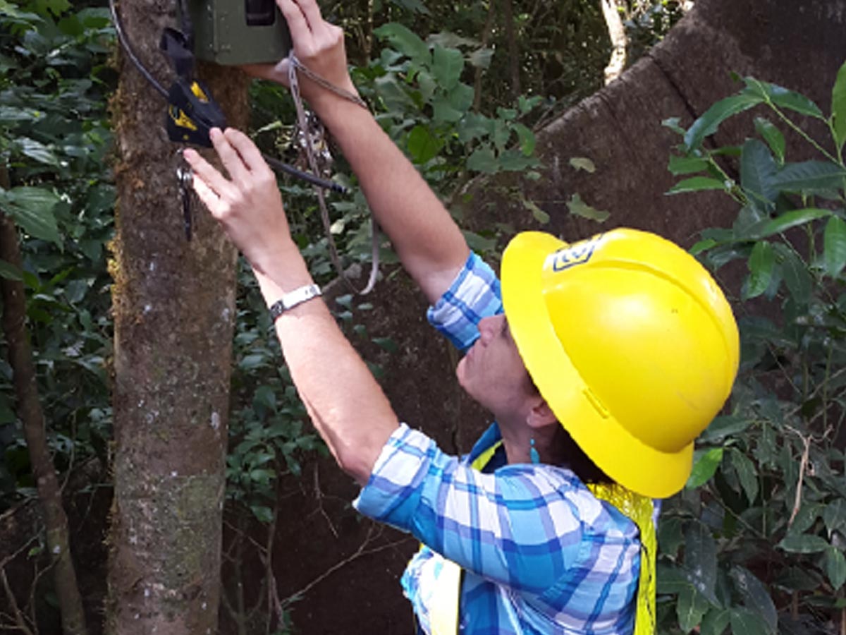 Instalación de cámara trampa en el campo Geotérmico Las Pailas en Liberia