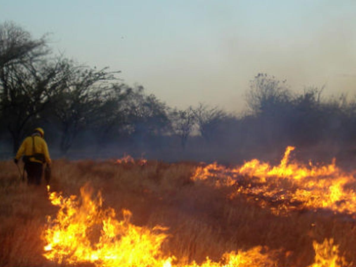 Incendios forestales superan el registro de toda la temporada 2018