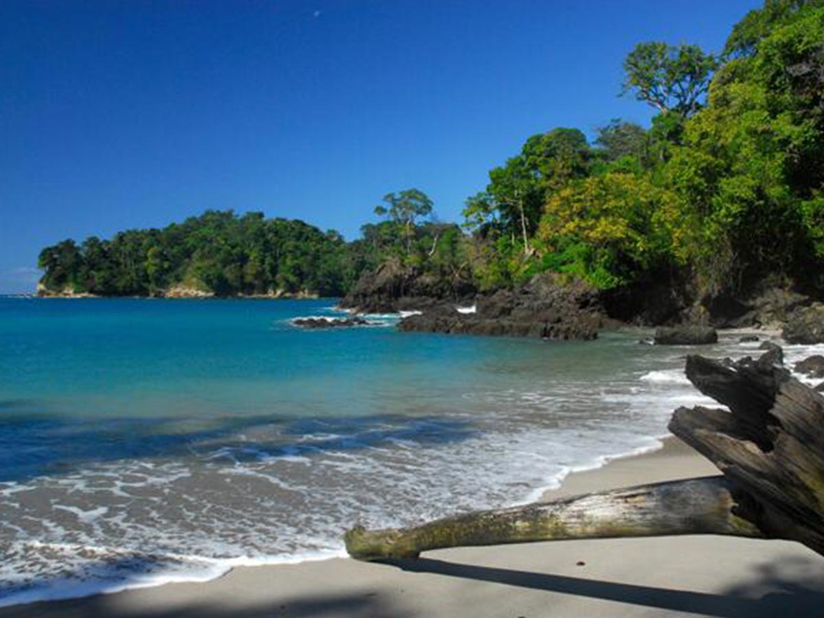 Parque Nacional Manuel Antonio. Imagen de archivo