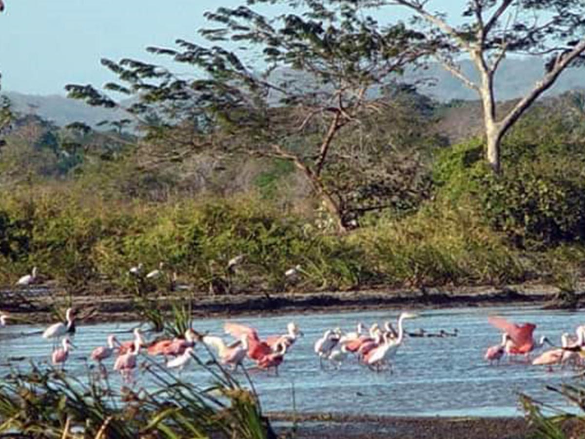 Fotos cortesía: Asociación Costa Rica Por Siempre