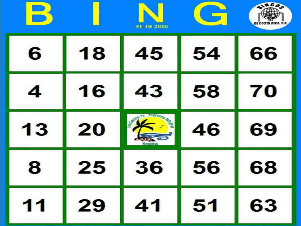 bingo bet online