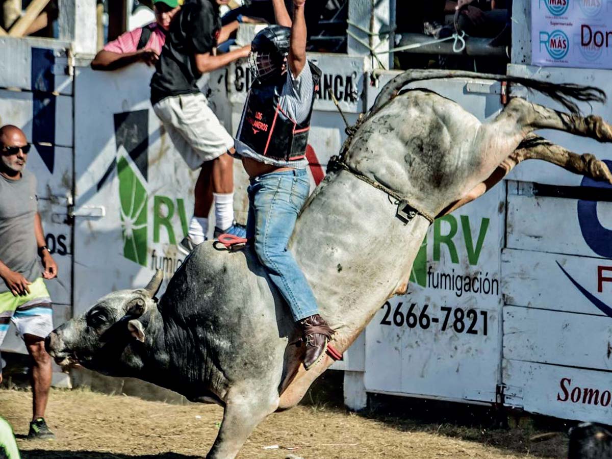 Los precios para ingresar a las montaderas oscilarán entre los 2000 y 7000 colones. Crédito de foto: Facebook de Fiestas Cívicas de Liberia 2019.