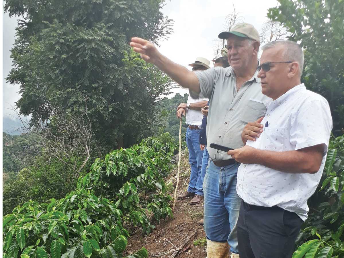 Emel Rodríguez, un ingeniero forestal quien formó parte de las primeras generaciones de esta disciplina que se graduaron en el país. Allí aprendió con los mejores el valor de los servicios ecosistémicos de los bosques, algo que lo llevaría a evangelizar cientos de familias campesinas en toda la península.