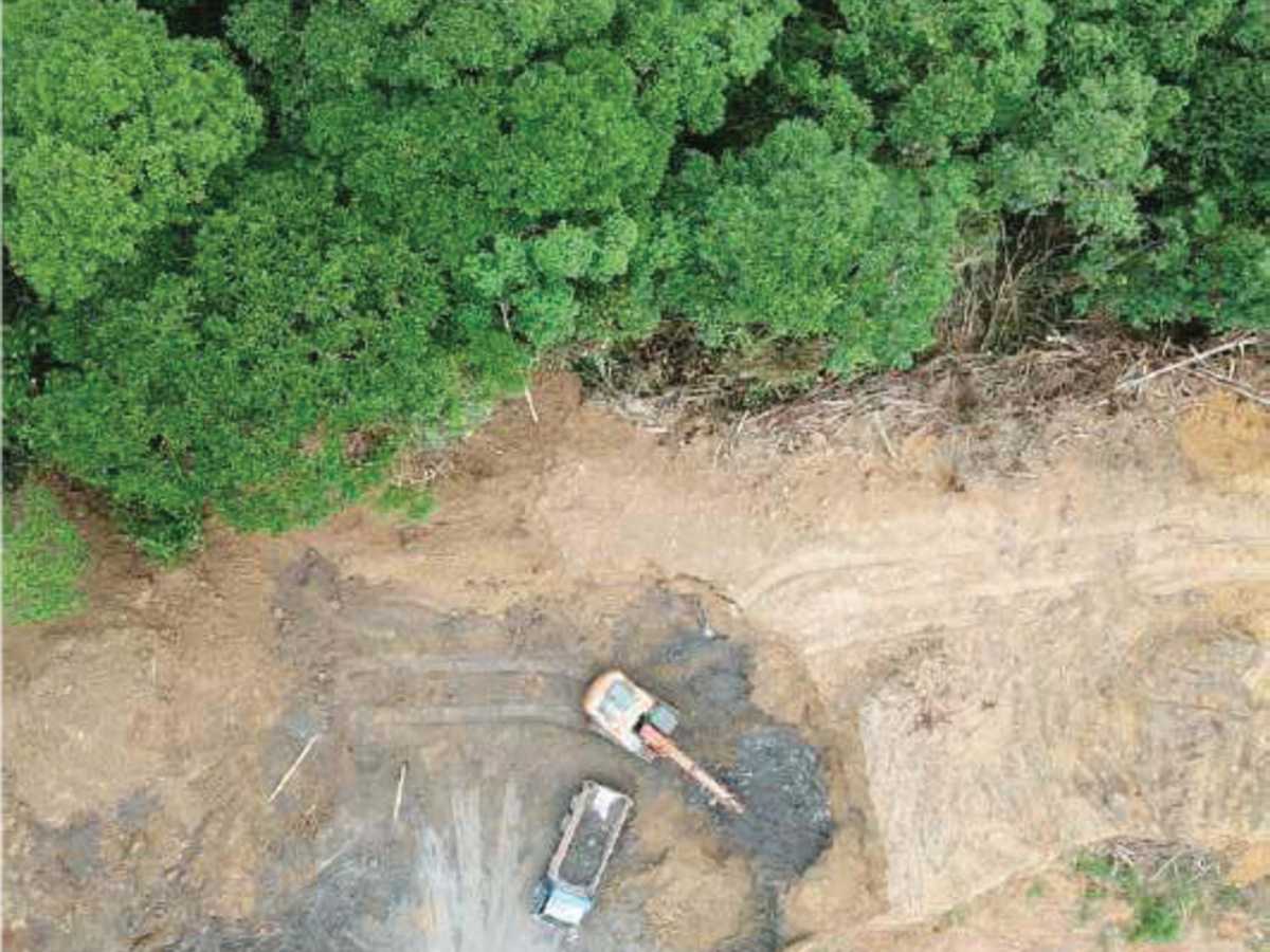 Los delitos ambientales han ido en aumento en los ÚLTIMOS meses en Guanacaste. Crédito de foto: futuroverde.org