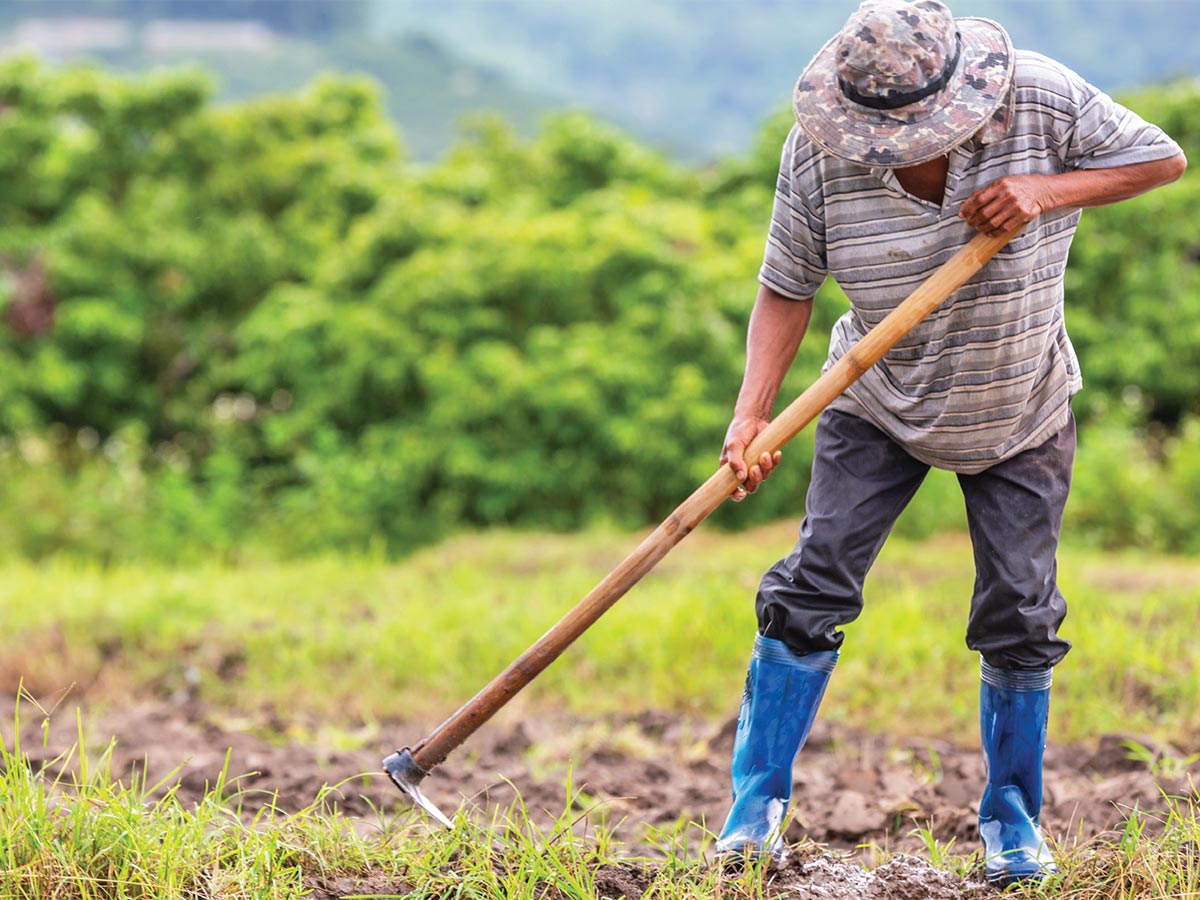 MÁS Y MEJOR RECURSO HUMANO PARA EL AGRO.alt