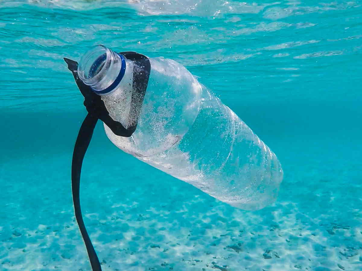 Para el 2050 habrá más plástico que seres vivos en los océanos.alt