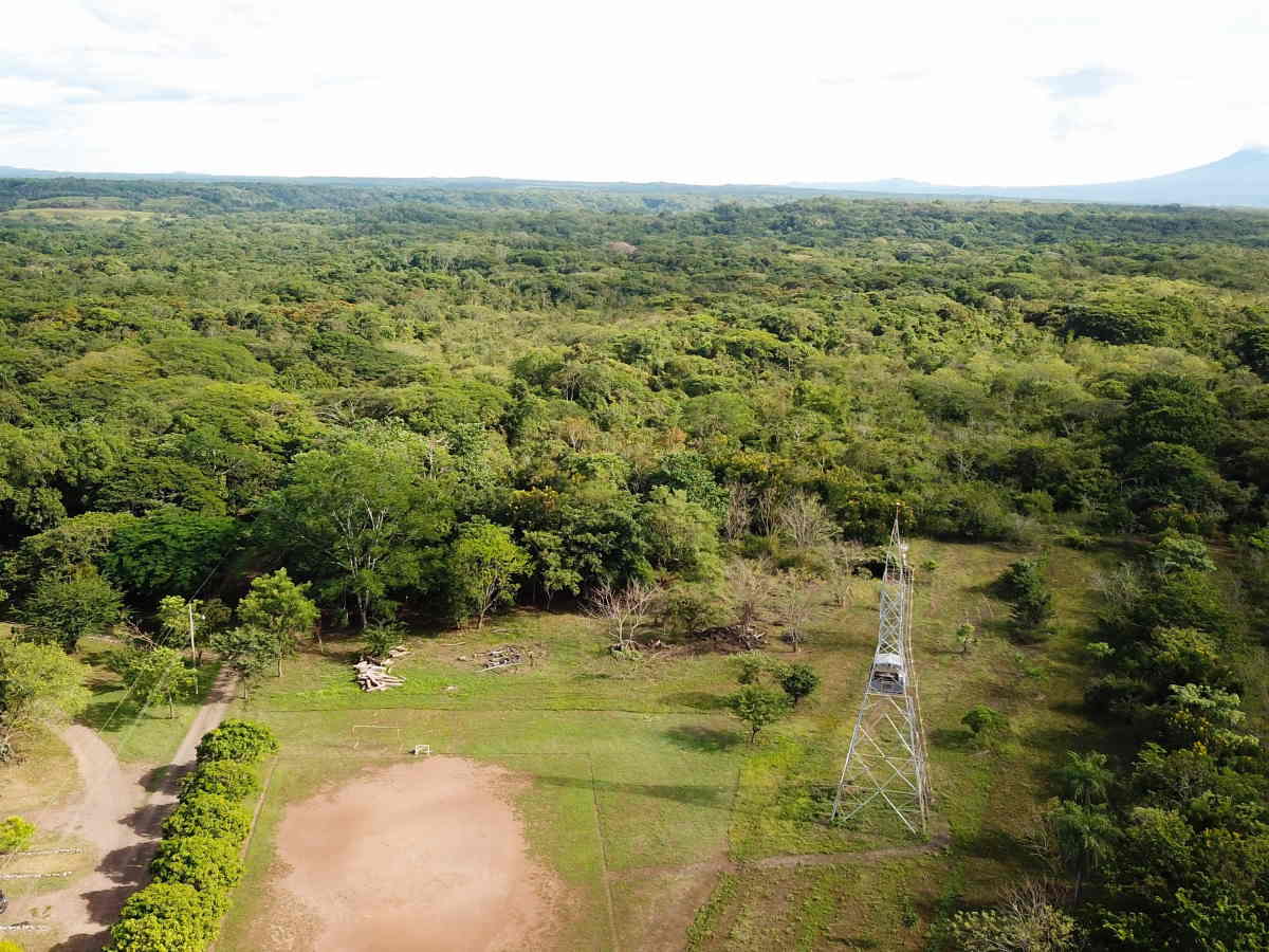 Estación Experimental Forestal Horizontes: Pabrö Sanchez