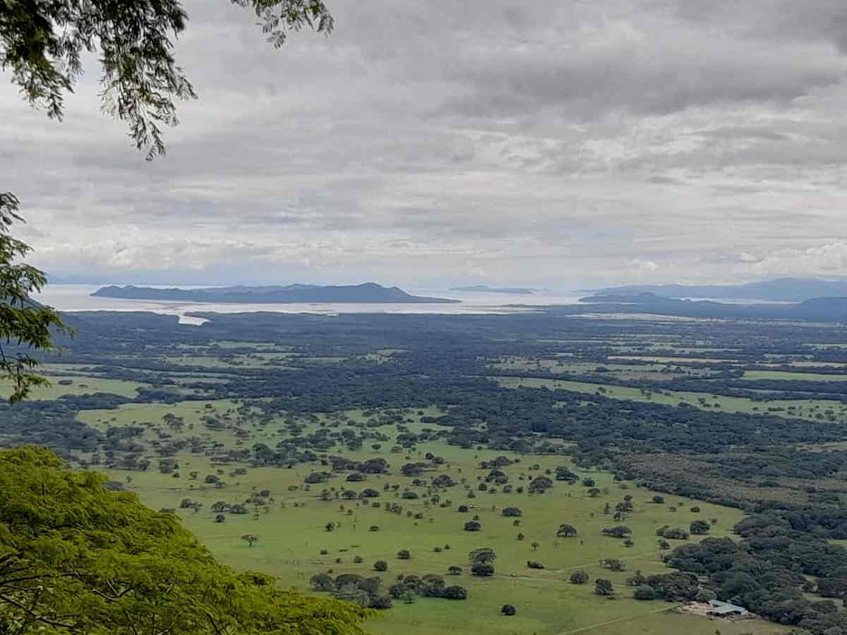 El proyecto toma involucra a las personas, a los líderes comunales y a los emprendimientos en los procesos para generar y socializar beneficios ecosistémicos. Crédito de foto: Municipalidad de Nicoya.El proyecto toma involucra a las personas, a los líderes comunales y a los emprendimientos en los procesos para generar y socializar beneficios ecosistémicos. Crédito de foto: Municipalidad de Nicoya.