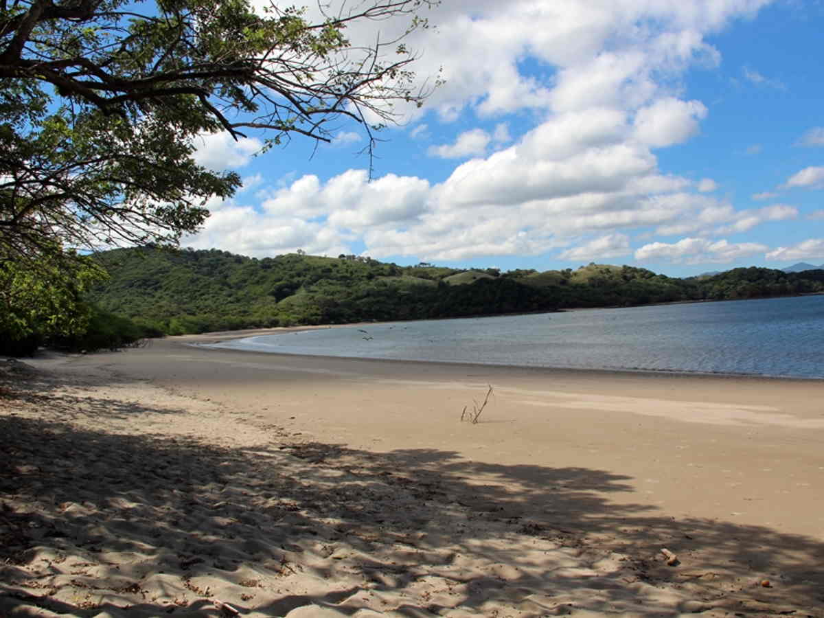 Crédito de foto: Área de Conservación Guanacaste.
