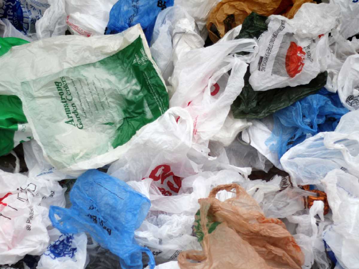 Las bolsas de plástico dejarán de ser gratuitas desde el 1 de julio