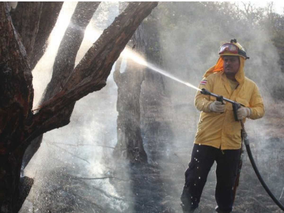 El ACG a través de su Programa Manejo del Fuego (PMF) concluyó la época seca con eventos por debajo del promedio de afectación de los últimos 10 años. Para este año se afectaron 1029.59 hectáreas dentro del ASP. Crédito de foto: ACG.