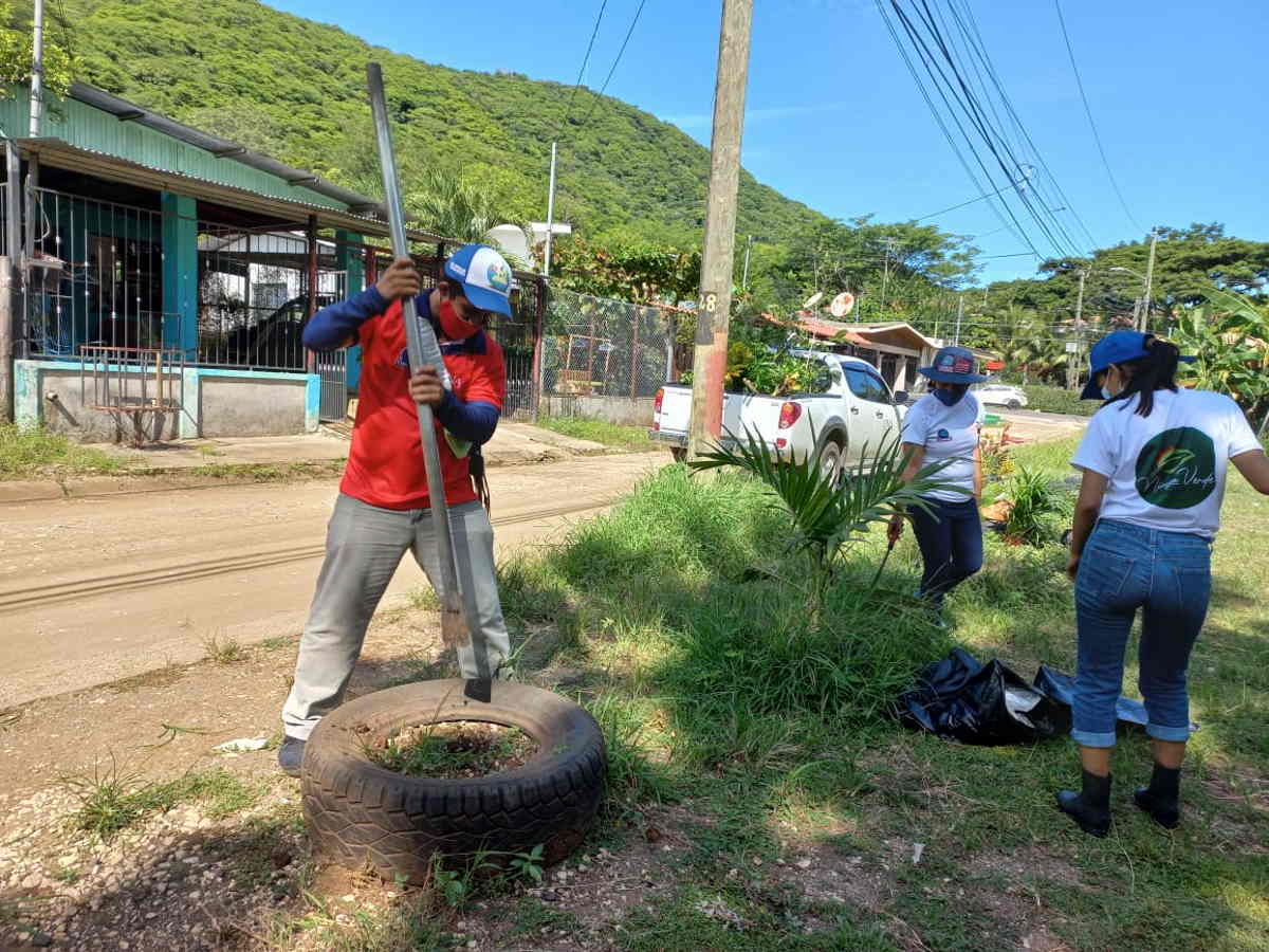 Como parte del proyecto Nicoya Verde, se han sembrado alrededor de 800 árboles y arbustos, distribuidos entre espacios urbanos, parques y sectores del casco central de la ciudad de Nicoya.