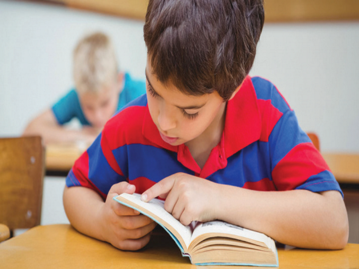 La literatura sobre educación es considerada según expertos, como la primera de ocho competencias claves que requieren los ciudadanos para adquirir conocimientos en diversas disciplinas. Crédito de foto: Estado de la Educación y educacion.editorialaces.com