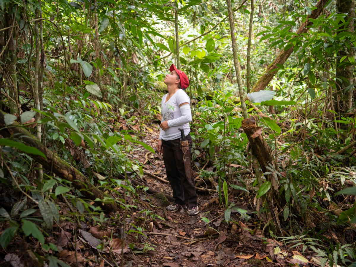 Fotografía: Giancarlo Pucci / PNUD Costa Rica