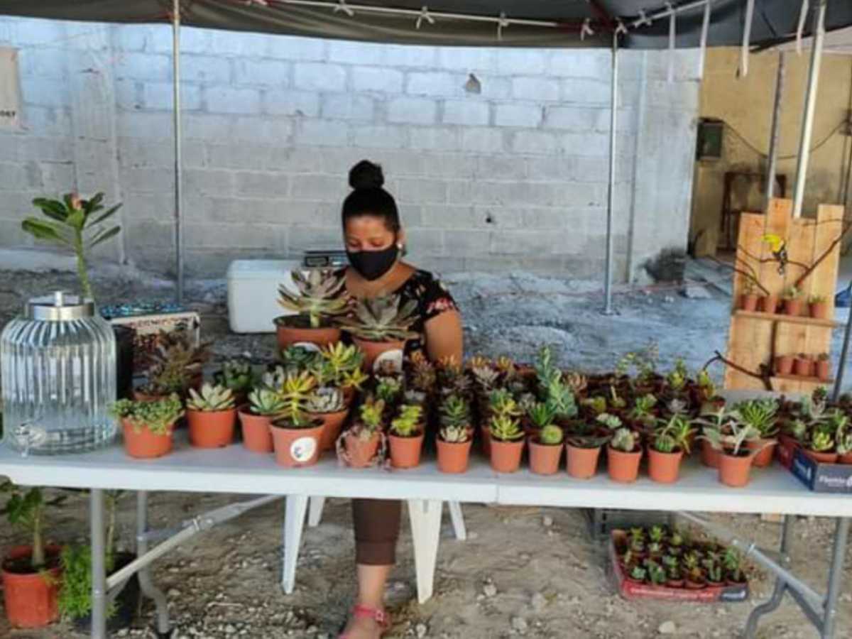 El mercadito bagaceño se encuentra abierto al PÚBLICO los sábados en un horario de 7 am a 12 pm.