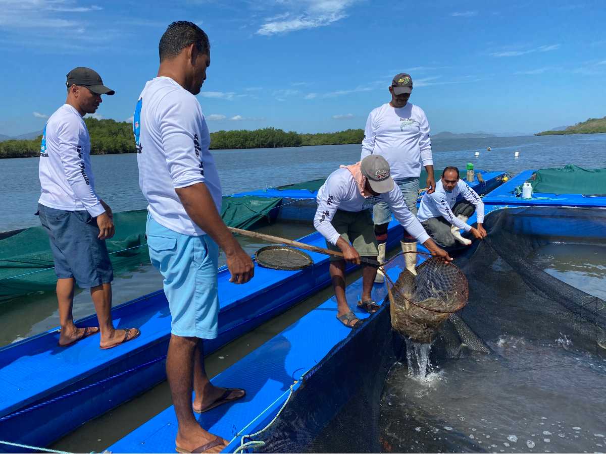 320 PESCADORES DE GUANACASTE Y GOLFO DE NICOYA CONTARÁN CON MODERNO CUARTO DE FRÍO PARA FORTALECER SU ACTIVIDAD 