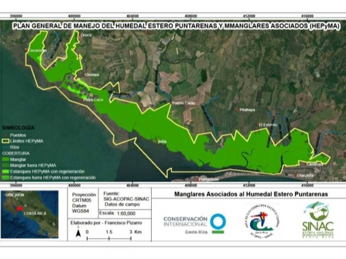 Distribución de los manglares asociados al Humedal Estero Puntarenas y Manglares Asociados