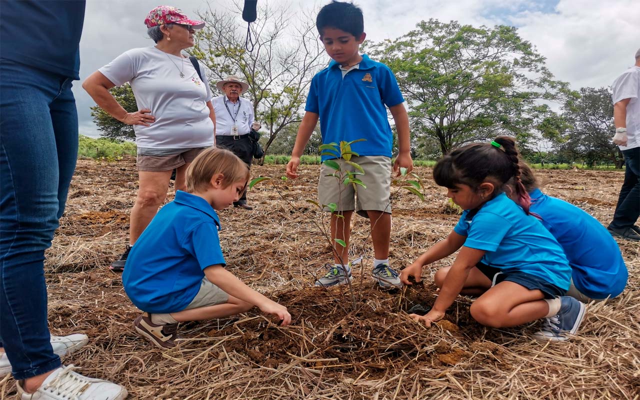 Academia Teocali une esfuerzos a la Embajada de Israel para plantar bosque 