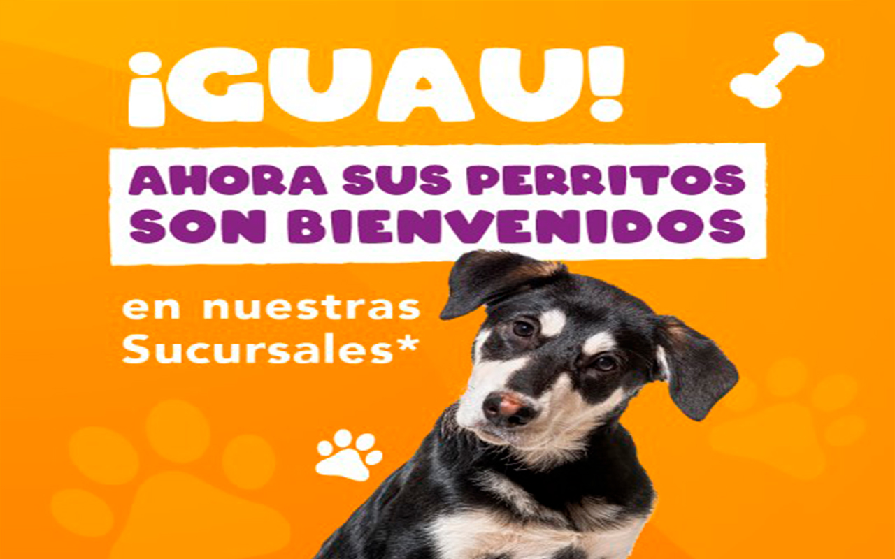 Clientes del Banco Popular podrán hacer sus trámites junto a sus mascotas.alt