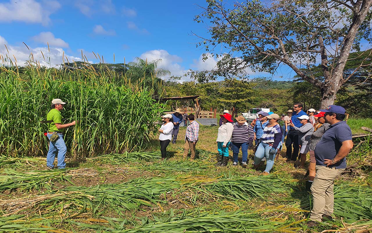 Mujeres mejoran técnicas productivas para enfrentar los efectos adversos del cambio climático en sus fincas.alt