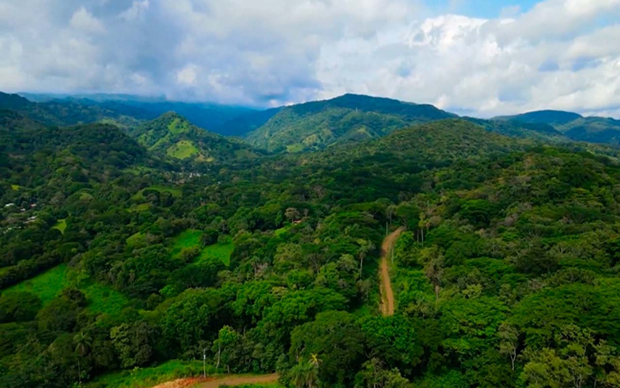 Líderes comunales celebrarán su día el próximo domingo 30 de octubre en Guanacaste.alt