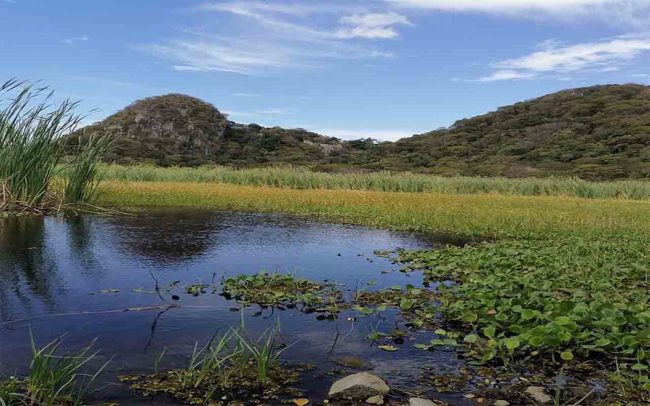 Cortesía de: Área de Conservación Arenal Tempisque (ACAT).