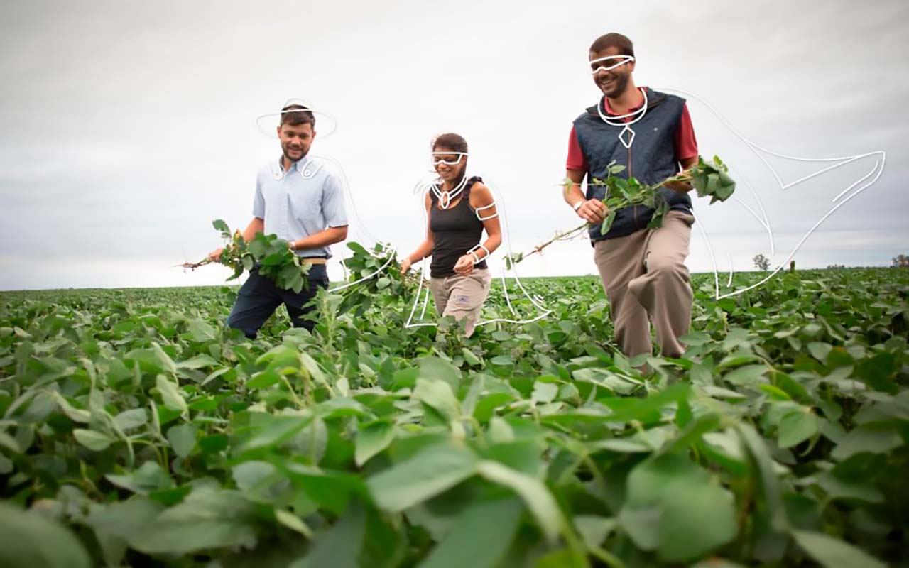 Situación de la agricultura se torna incierta.alt 