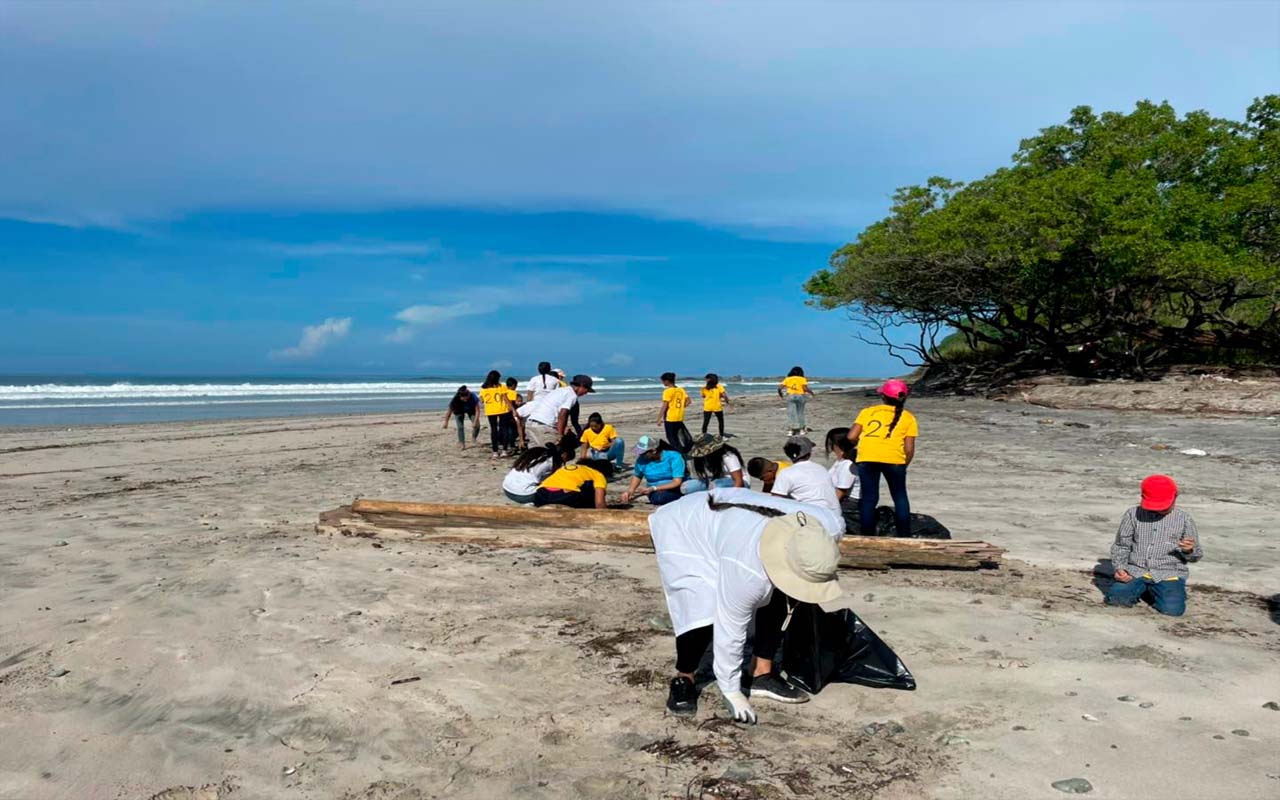 Campaña de Reforestación en Playa Barrigona.alt