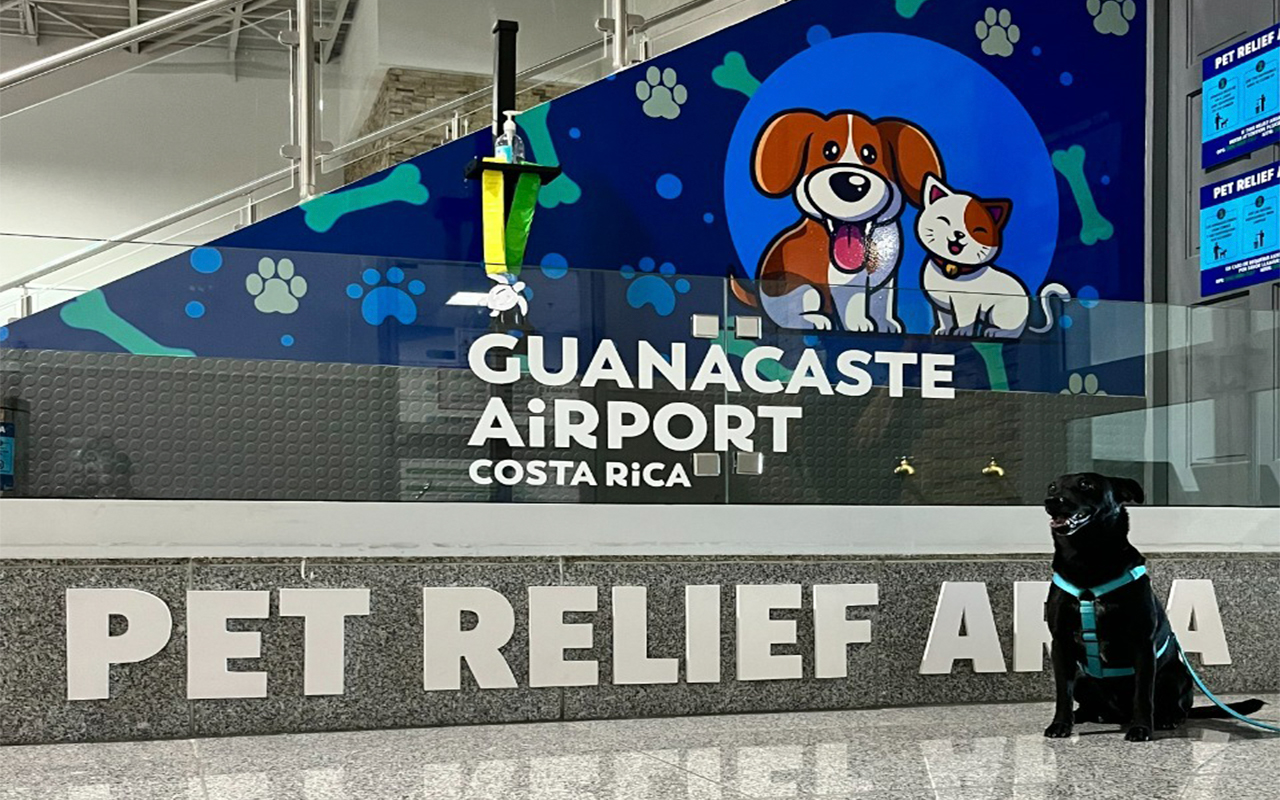 Guanacaste Aeropuerto inaugura zona especial para mascotas que esperan un vuelo.alt