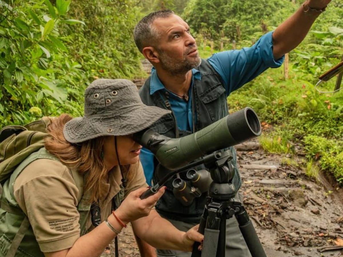 Plataformas como vamosaturistear.com o las Guías Turístico Culturales, del ICT, le ofrecen información variada sobre distintas regiones del país para turistear.