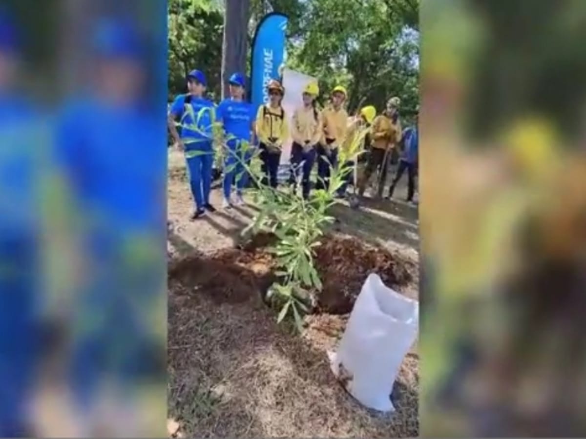 Plantación de árboles une a Coopenae, la Fundación Banco Ambiental (FUMBAM) y Brita la Brigada Voluntaria de Bomberos (AAAS Tamarindo y fuerza vivas de la comunidad.