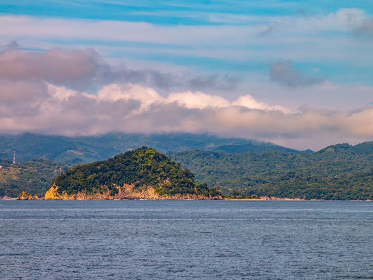 Iniciativa es liderada por la UNED, el INA con el apoyo de la Intendencia de Paquera, la Cámara de Turismo de Puntarenas y de la empresa Bay Island Cruises y tiene como objetivo regenerar arrecifes