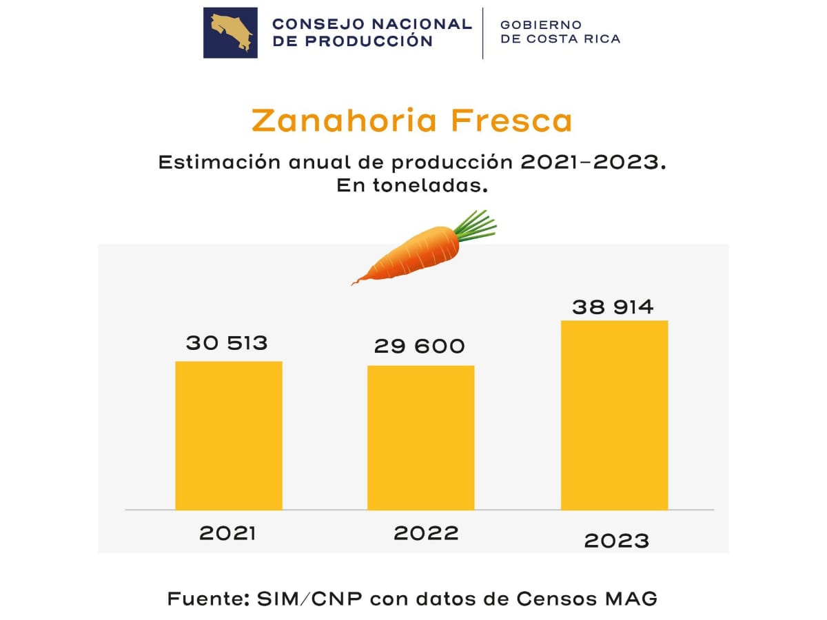 La producción de zanahoria en Costa Rica aumentó en un 31% del año 2022 al 2023.