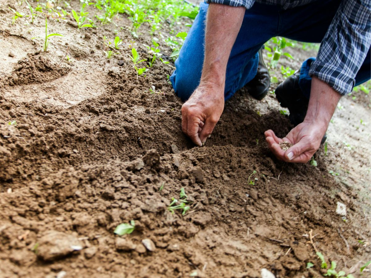 La Semana del Agricultor 2025 fortalece el vínculo entre las instituciones del agro y las comunidades productivas, destacando logros y desafíos del sector.