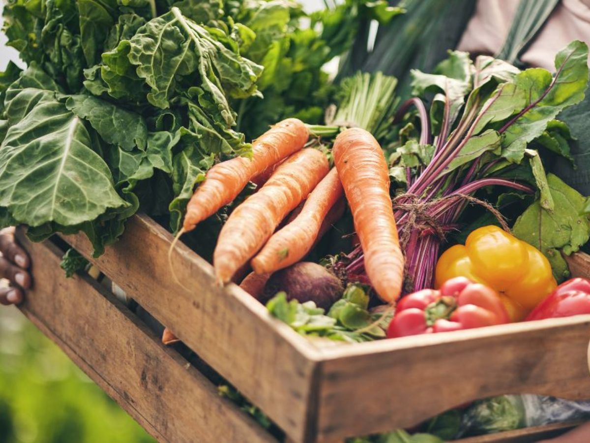 Se otorgó el mérito agrícola a Ottón Aguilar Durán y a varias compañías del sector agroexportador e industrial