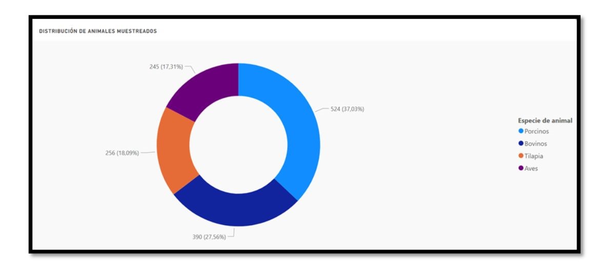 apertura semana concientizacion tabla