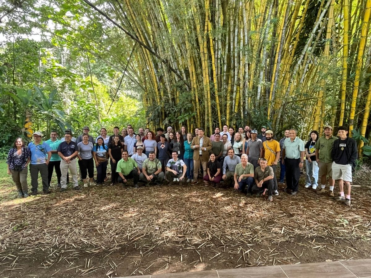 En el cantón de Turrialba se han registrado 633 especies diferentes de aves, una cifra que convierte al cantón en uno de los territorios con mayor densidad por kilómetro cuadrado en el país.
