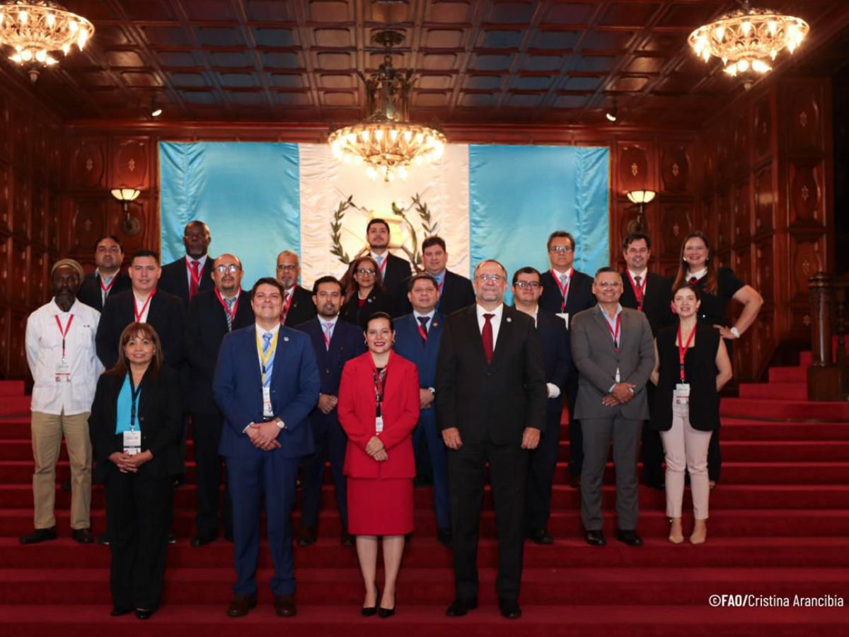 Costa Rica reafirma su compromiso con el desarrollo sostenible del sector agropecuario, durante su participación en la XVII Reunión de la Comisión de Desarrollo Ganadero para América Latina y el Caribe (CODEGALAC), que se celebra en Ciudad de Guatemala del 16 al 18 de julio del presente año, con el respaldo técnico de la FAO.