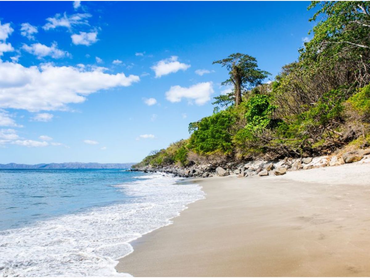 Calificaciones se recuperan, pero no son buenas y rondan entre 56 y 62