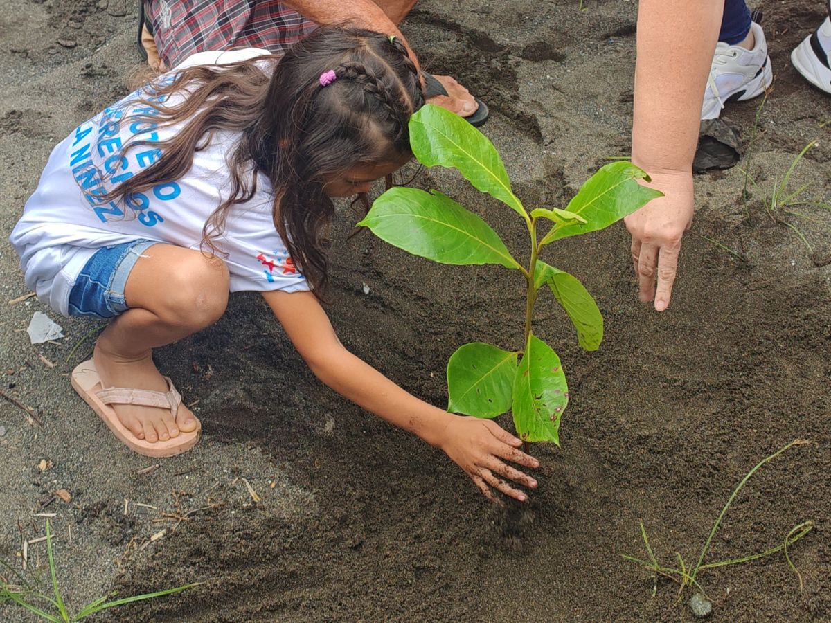 Se plantarán más de 1000 unidades de árboles que se adapten al ecosistema costero