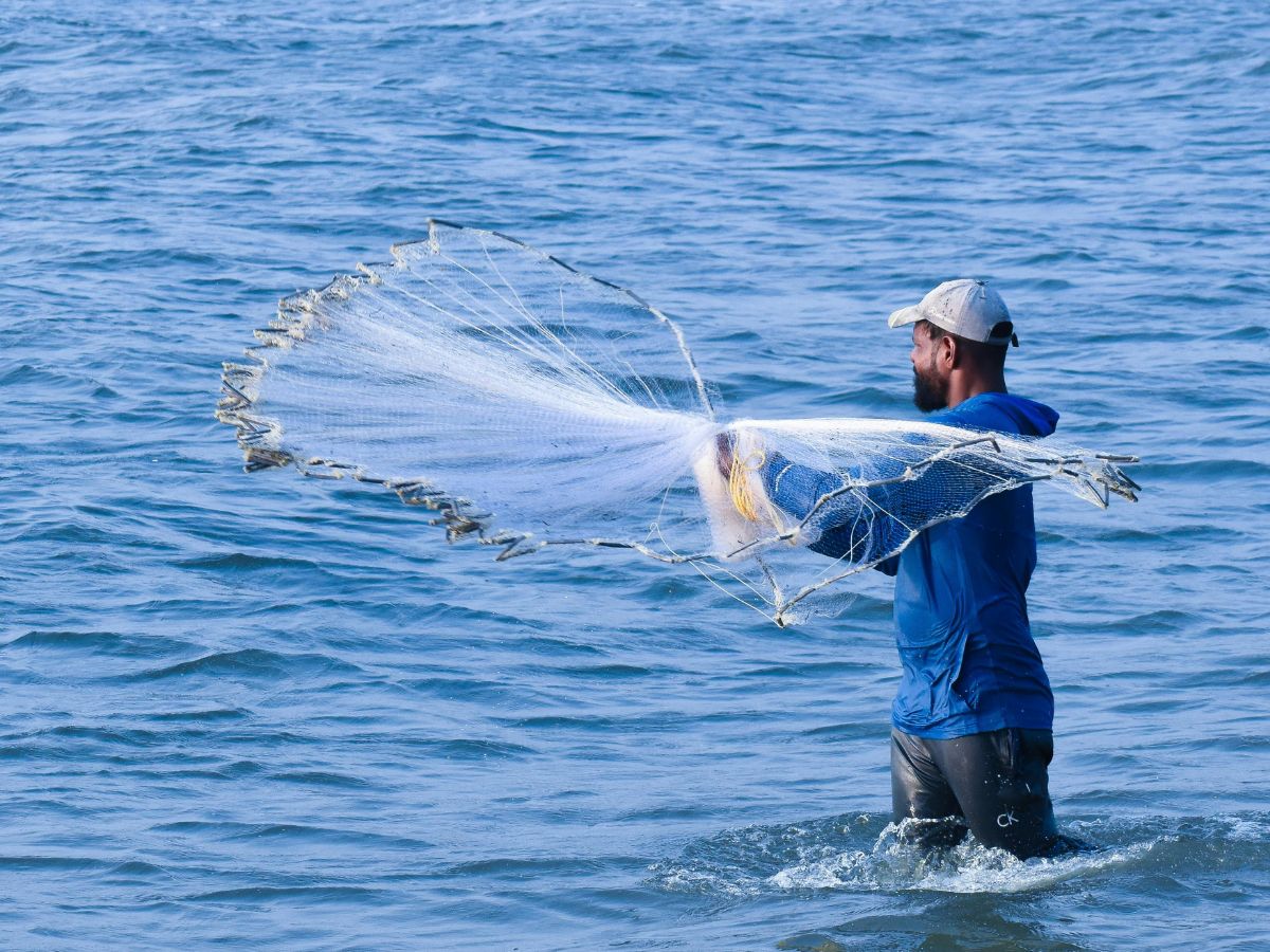 Administración destinará ₡300 millones a apoyar este sector con préstamos y asistencia técnica
