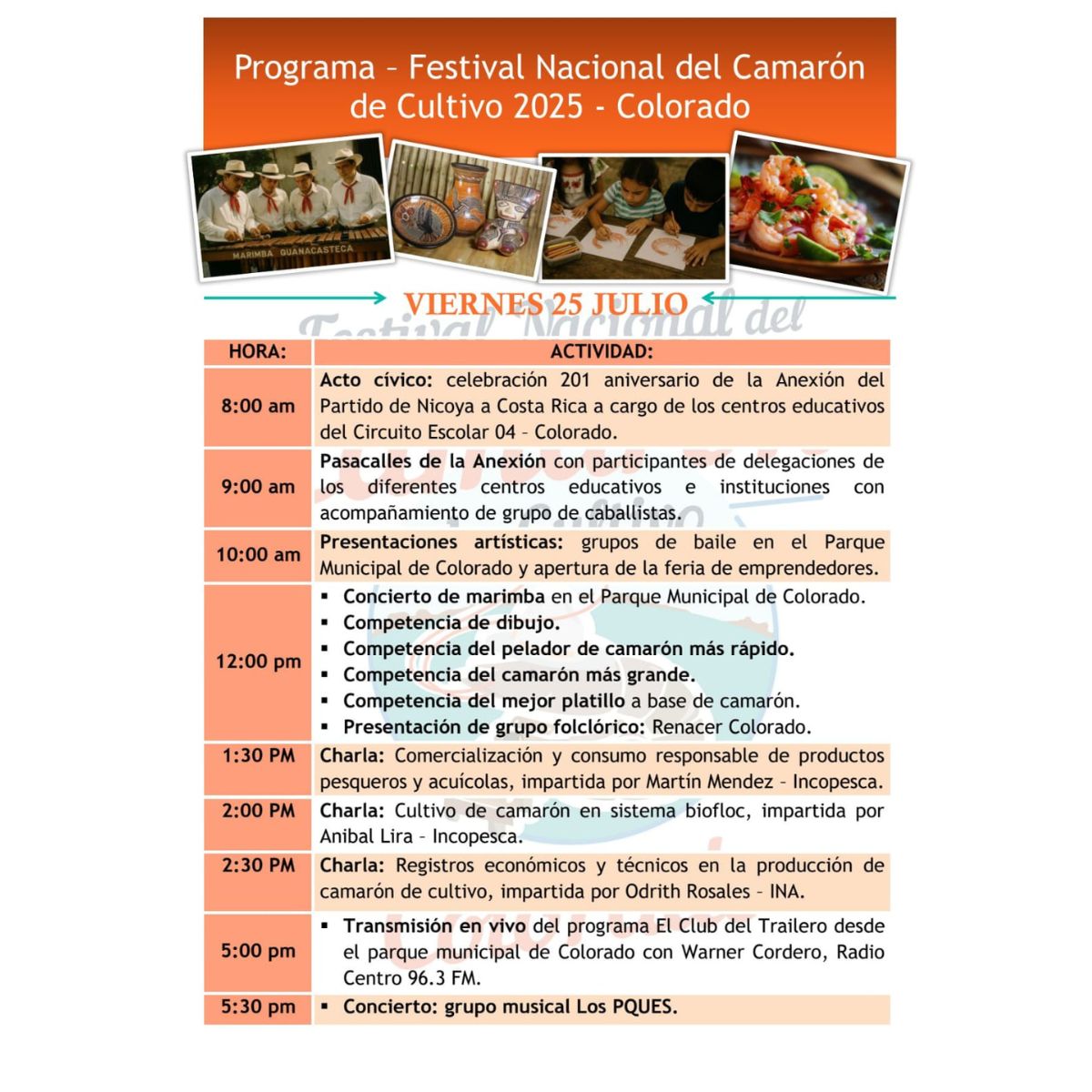 festival camaron 25