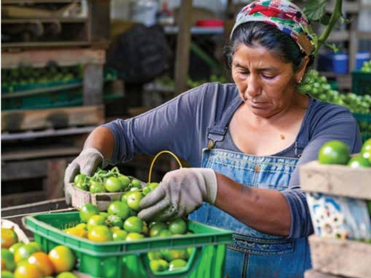 La región Chorotega muestra una disminución en sus índices de pobreza y desigualdad, aunque persisten desafíos importantes en equidad, sostenibilidad del progreso y acceso a oportunidades reales para todos los sectores